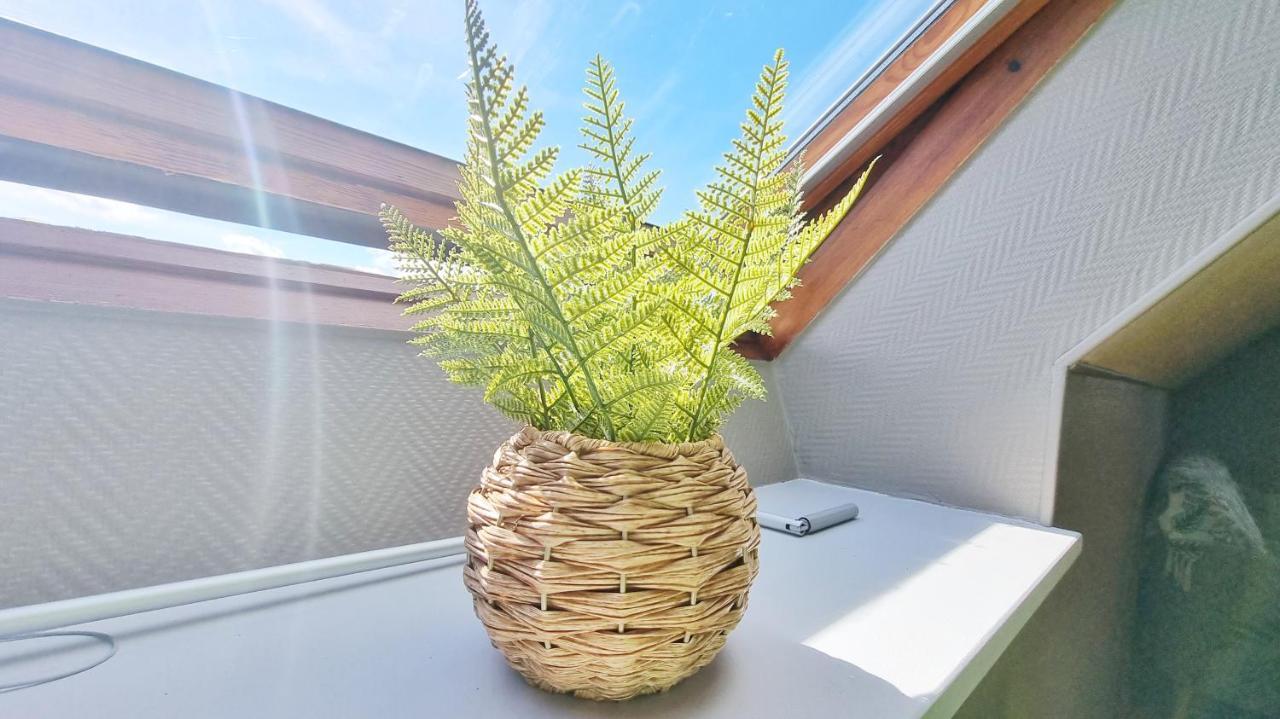 L'Evasion - Balcon - Fibre - Calme - Rbnb Bollwiller Exteriör bild
